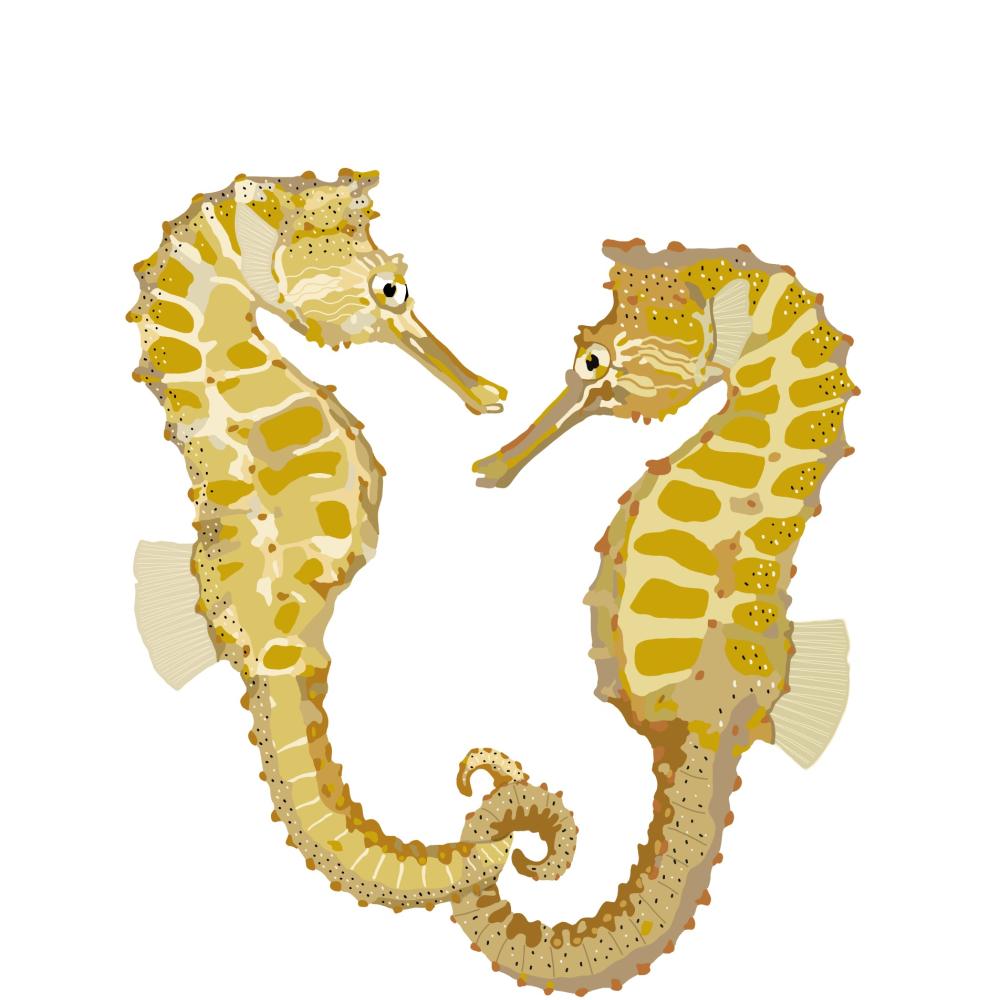 Seahorses logo